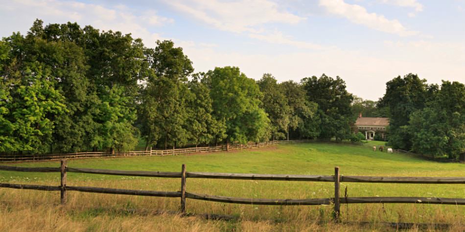 Exterior view of the front pasture with three horses surrounded by a split rail fence and green trees