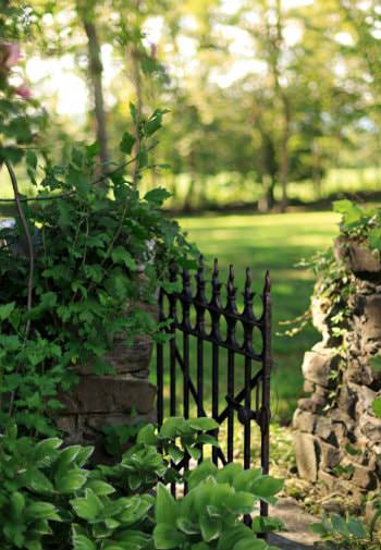 Stone wall with open black wrought iron gate surrounded by greenery