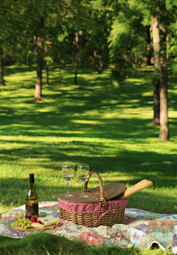 Colorful quilt topped with picnic basket, cheese and fruit, wine and glasses on a bed of grass surrounded by trees