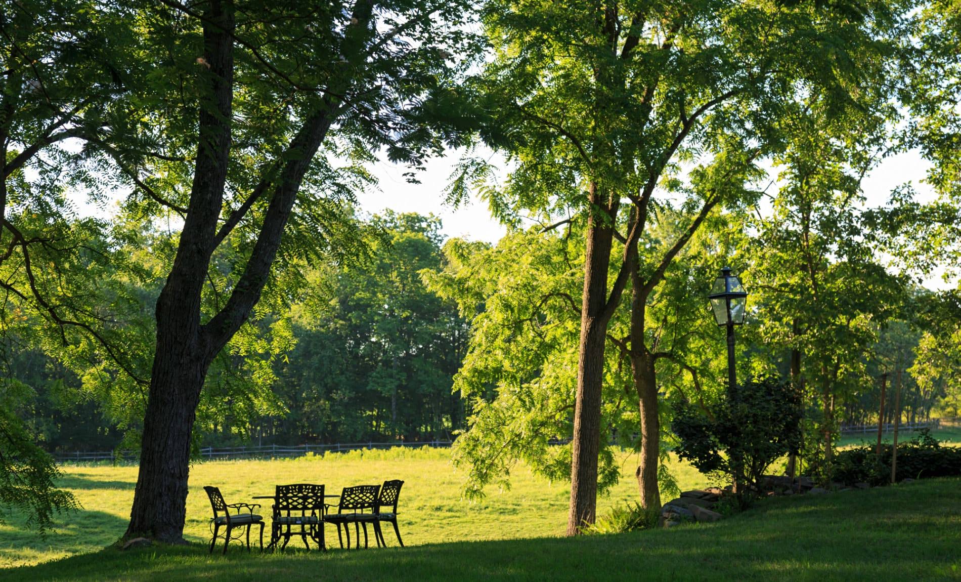 Black metal table and chairs on a bed of grass surrounded by green trees